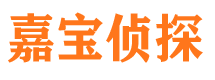 淮上侦探公司